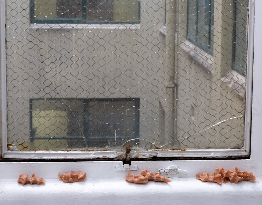 LIPS RETURNING TO EACH OTHER AT THE END OF A WORD  –  LIKE, WILL IT BE ON A&nbsp;SUNDAY.